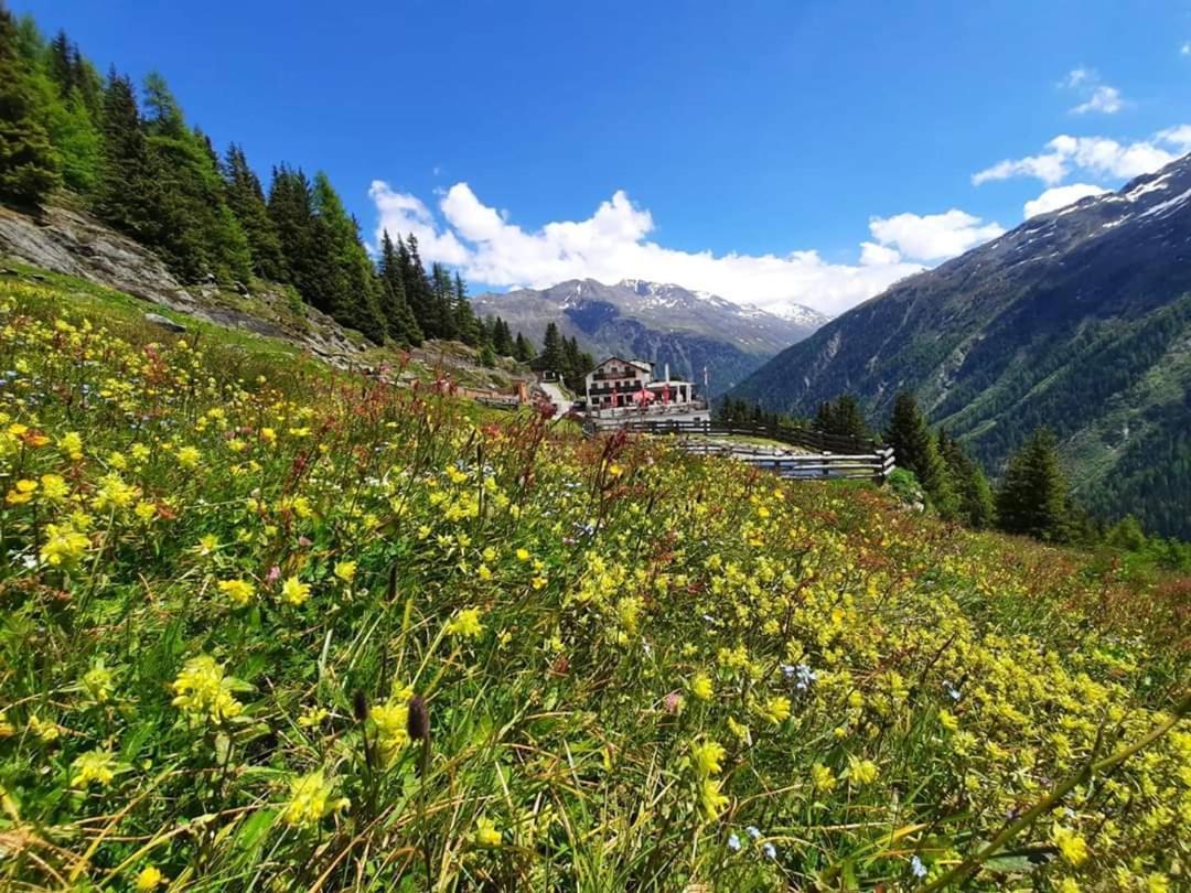 فندق Alpengasthof Gaislach Alm سولدن المظهر الخارجي الصورة