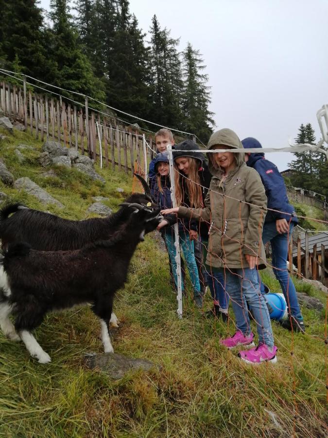 فندق Alpengasthof Gaislach Alm سولدن المظهر الخارجي الصورة